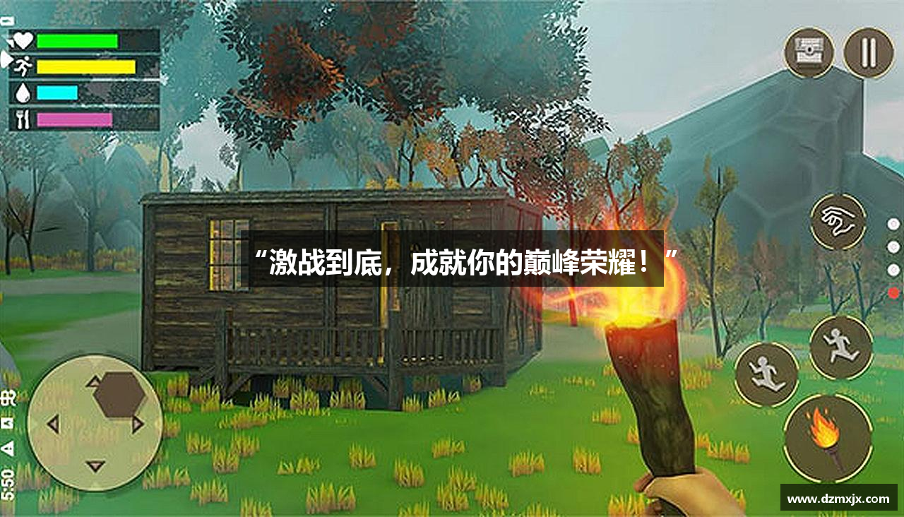 “激战到底，成就你的巅峰荣耀！”